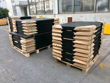 Échelle industrielle de palette de plancher de double plate-forme/échelles résistantes de plancher